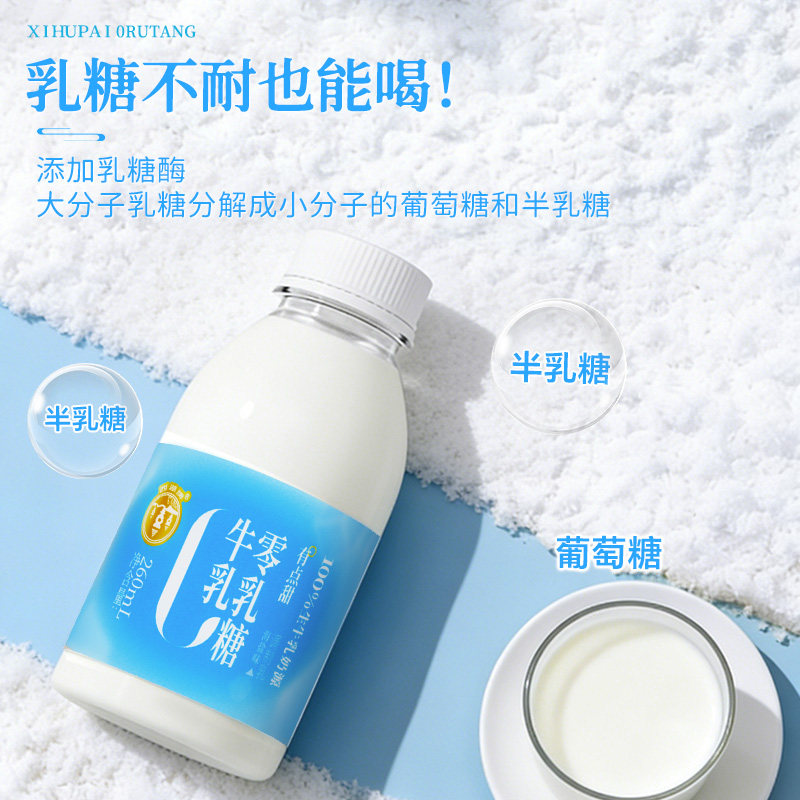 西湖牌海盐0乳糖牛奶260mL*8瓶新鲜低温奶无乳糖好吸收乳糖不耐受