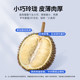 Shiboshi Malaysia Golden Phoenix Durian