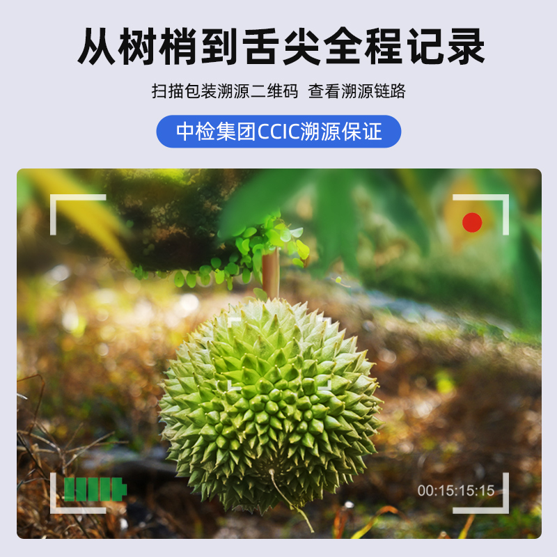 市舶士D28奶油包榴莲马来西亚正宗进口自然树熟液氮锁鲜整果水果