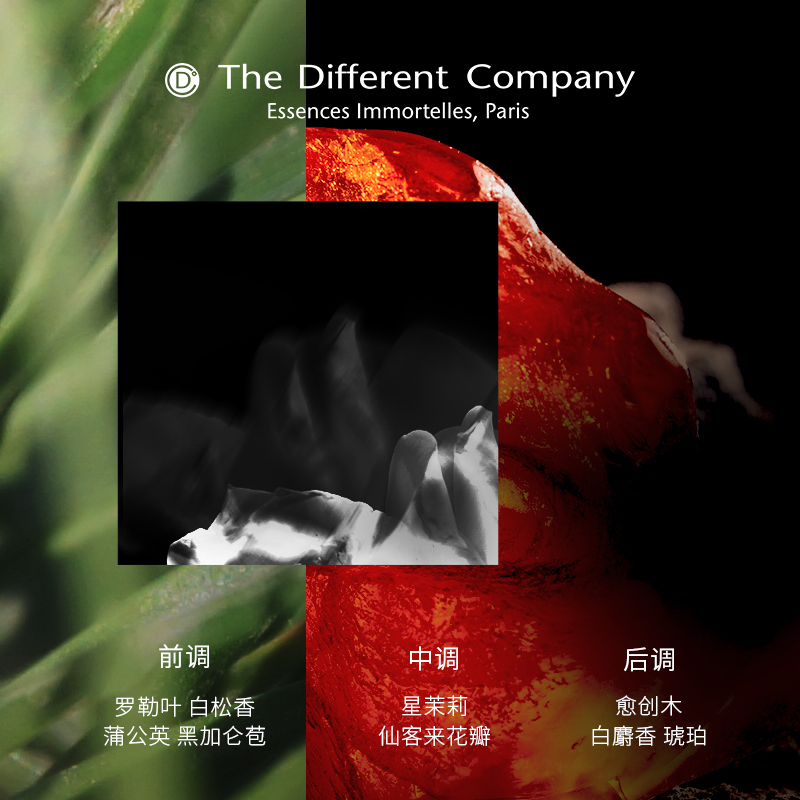 【520礼物】THE DIFFERENT COMPANY香水TDC春光乍现香水法国小众-图1