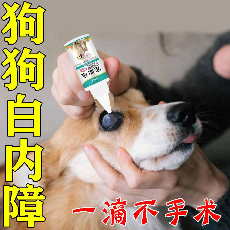 白内障宠物 新人首单立减十元 22年8月 淘宝海外