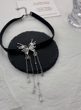 蝴蝶长流苏项链时尚冷淡风百搭时尚气质颈链锁骨链高级感小众配饰