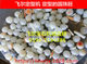 Feier setter water grinding accessories bearing