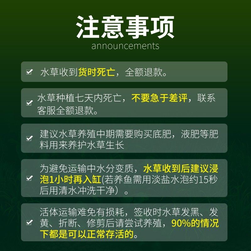 绿菊水草植物鱼缸造景阴性真草好养耐活增氧淡水活体水培生态绿植,淘宝优惠券,粉丝福利购,淘宝优惠卷