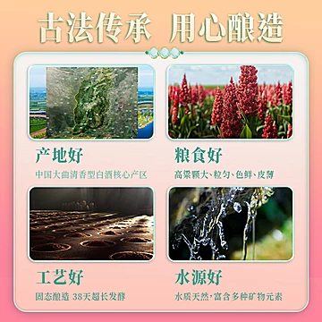 金汾河棕钻2008纪念版500ml[24元优惠券]-寻折猪