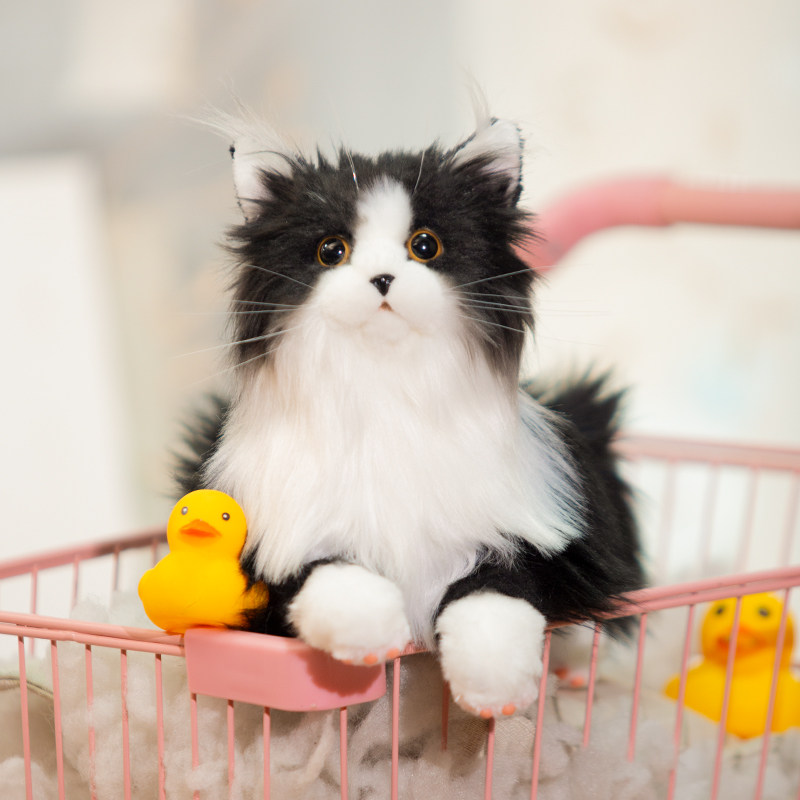 Chongker布偶猫奶牛猫加重猫咪仿真玩偶儿童毛绒玩具公仔儿童礼物,淘宝优惠券,粉丝福利购,淘宝优惠卷