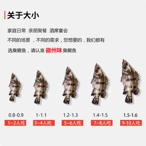 【三条更划算】臭鳜鱼腌制酒店批发半成品臭桂鱼正宗安徽黄山特产 - 图2