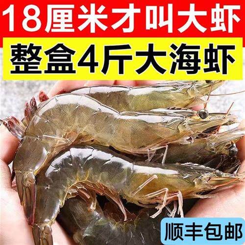 海捕青岛大虾鲜活海鲜水产超大虾新鲜青虾对虾海虾船冻整箱4斤/盒