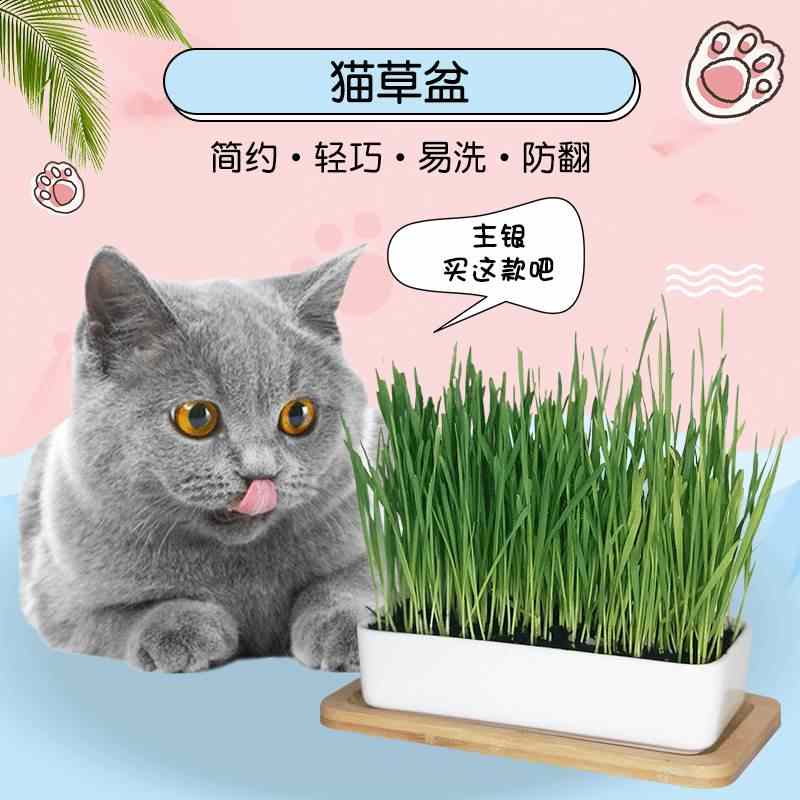 猫草水培盒 Top 100件猫草水培盒 22年11月更新 Taobao 猫草水培盒 Top 100件猫草水培盒 22年11月更新 Taobao