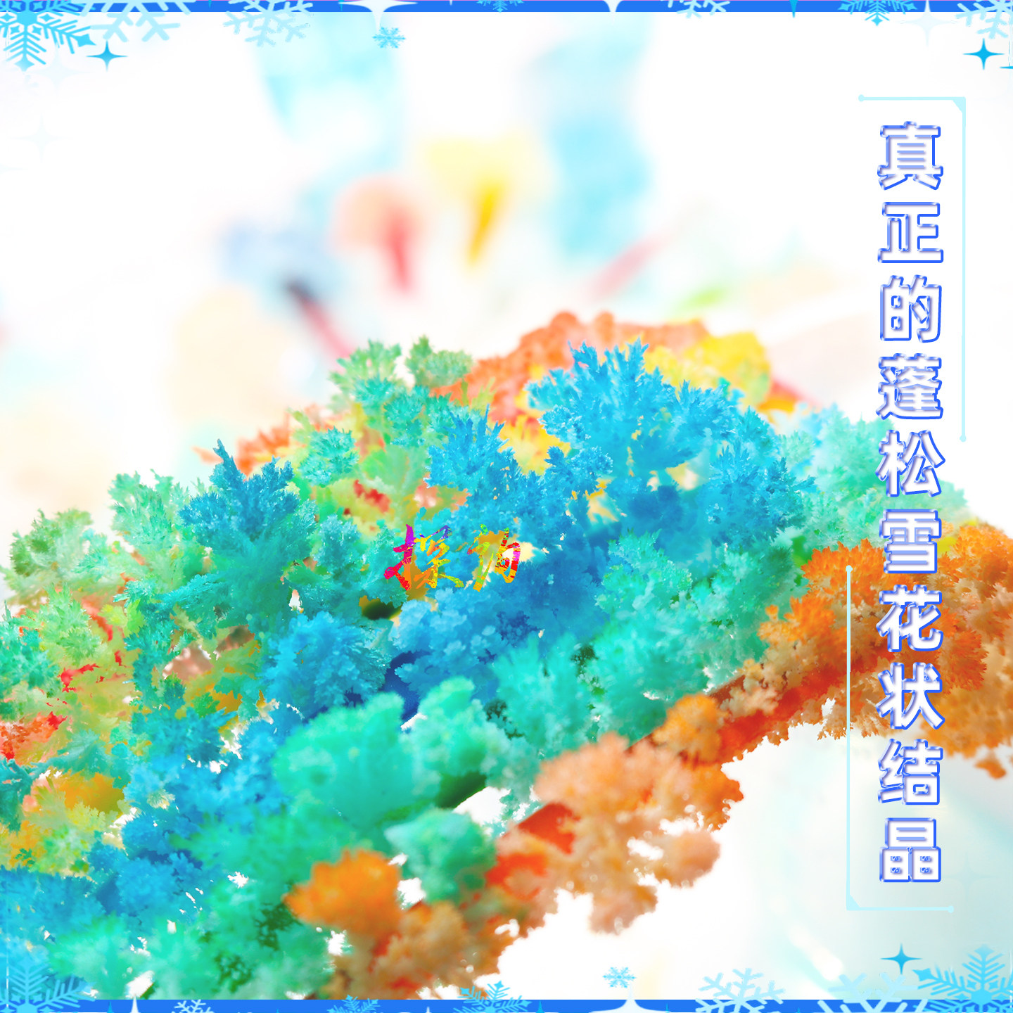 探询雪花彩虹结晶纸片开花魔法趣味科学实验制作物理化学生幼儿园