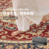 Living room carpet European style waterproof and anti-fouling floor mat easy to take care of
