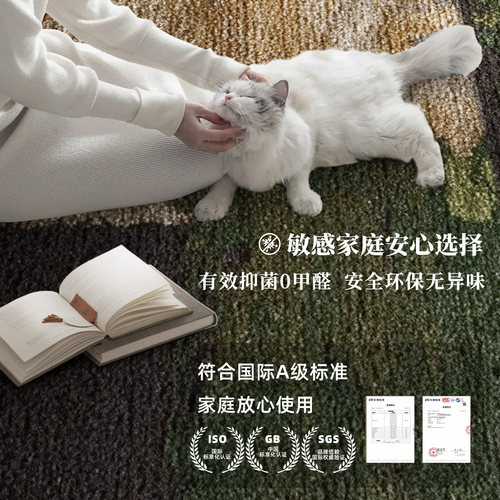 地毯客厅轻奢复古2026新款免洗可擦卧室床边毯防水防污地垫好打理 - 图2