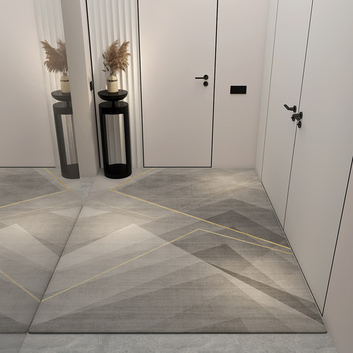 入户门地垫高级定制家用门口脚垫耐脏免洗进门垫玄关卧室客厅地毯 - 图0