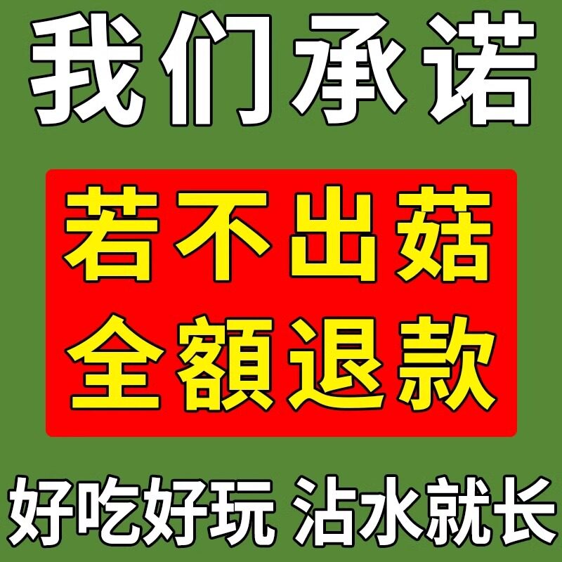 羊肚菌菌种蘑菇种植包盆栽儿童可食用阳台室内家庭自种食用菌包袋,淘宝优惠券,粉丝福利购,淘宝优惠卷