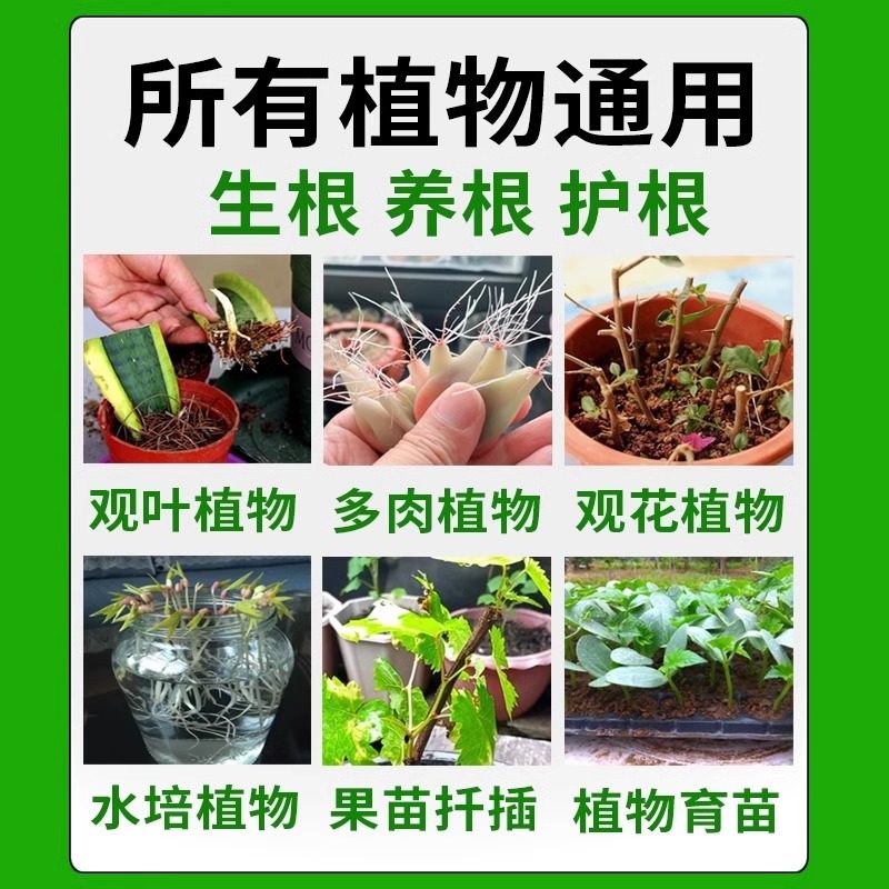 扦插生根液三角梅月季专用快速生根粉强力生根壮苗剂育苗移栽神器,淘宝优惠券,粉丝福利购,淘宝优惠卷