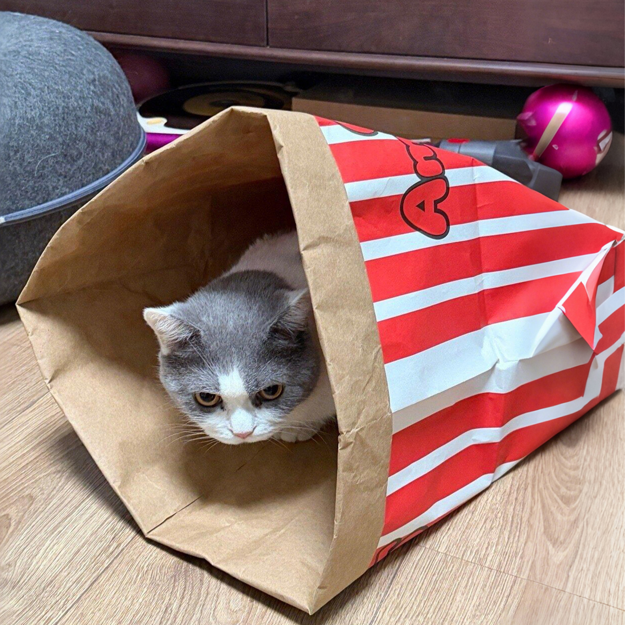 牛皮纸袋猫玩具自嗨解闷神器猫隧道猫咪钻洞听响声捉迷藏临时猫窝,淘宝优惠券,粉丝福利购,淘宝优惠卷