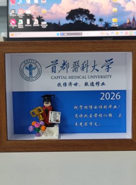 华东师大定制DIY乐高装饰相框