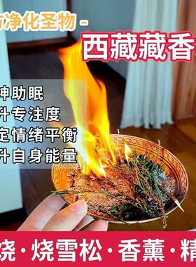 正宗西藏藏香柏枝叶供火柏香枝植