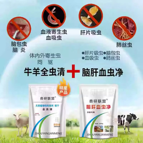 牛羊驱虫兽用血虫脑包虫肝片吸虫体内外全驱净脑肝满净孕畜可用 - 图1