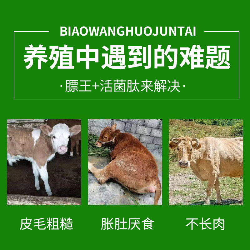 正品膘王活菌肽牛羊快速催肥增长拉大骨架增肥快速出栏开胃增重,淘宝优惠券,粉丝福利购,淘宝优惠卷