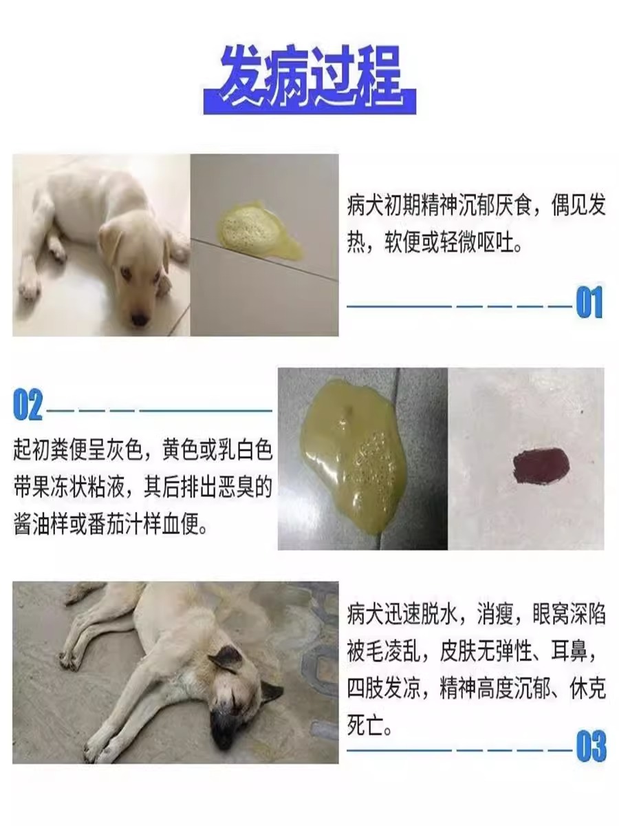 狗狗细小病毒特效药犬瘟热治疗药套餐预防拉血抽搐呕吐单抗干扰素-图2