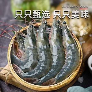【多小贝】青岛大个海捕大虾3斤