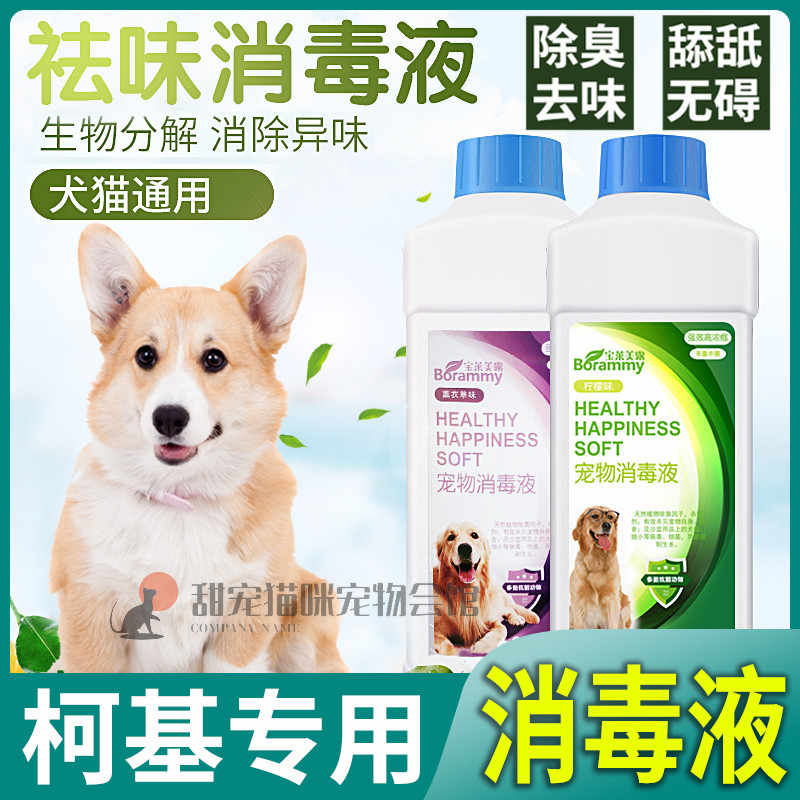 犬用消毒液 新人首单立减十元 22年8月 淘宝海外