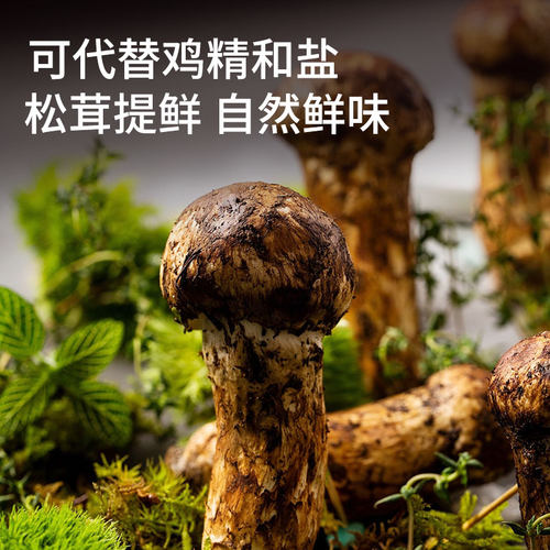 大山合松茸鲜调味料松茸调料0添加可代替鸡精盐96g炒菜官方旗舰店 - 图2