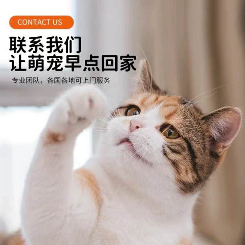 沈阳大连找猫服务找狗服务寻猫团队宠物侦探寻找宠物搜救找猫团队 - 图3