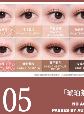 菲丽菲拉尺子眼影大地色哑光显色