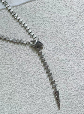 2023新款蛇形项链女款爆款轻奢小众欧美高级感锁骨链颈链装饰配饰