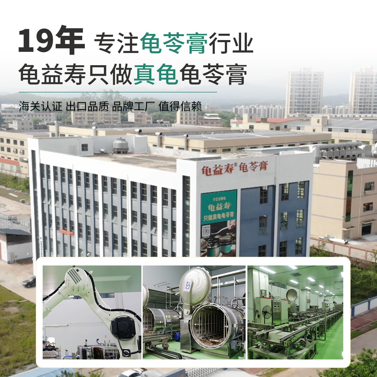 【李艺金钱龟】龟益寿真龟正宗龟苓膏广东特产清润高档年货礼盒装,淘宝优惠券,粉丝福利购,淘宝优惠卷