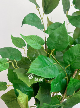 桑叶中垂叶仿真绿植 壁挂装饰橱窗室内造景摆件 长青树叶礼物