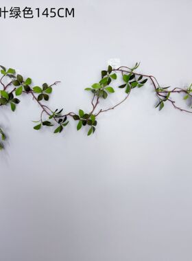 仿真手感绿叶藤条绿萝龟背叶吊藤蔓缠绕壁挂饰背景墙植物角装饰串