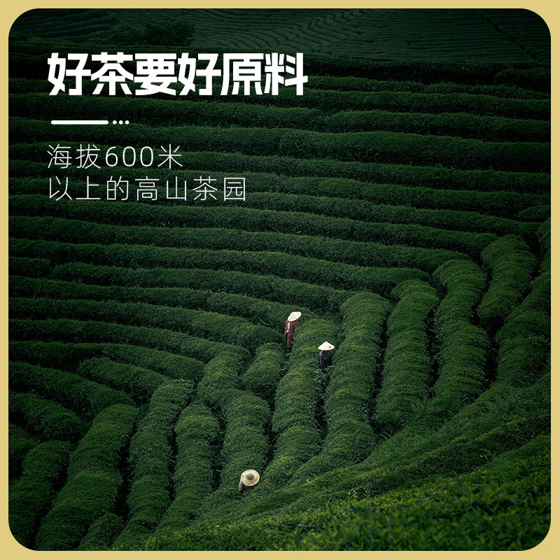 宛若仙竹香乌龙茶0脂肪冷泡茶竹香茶冲饮乌龙冷泡茶5g*10条/盒