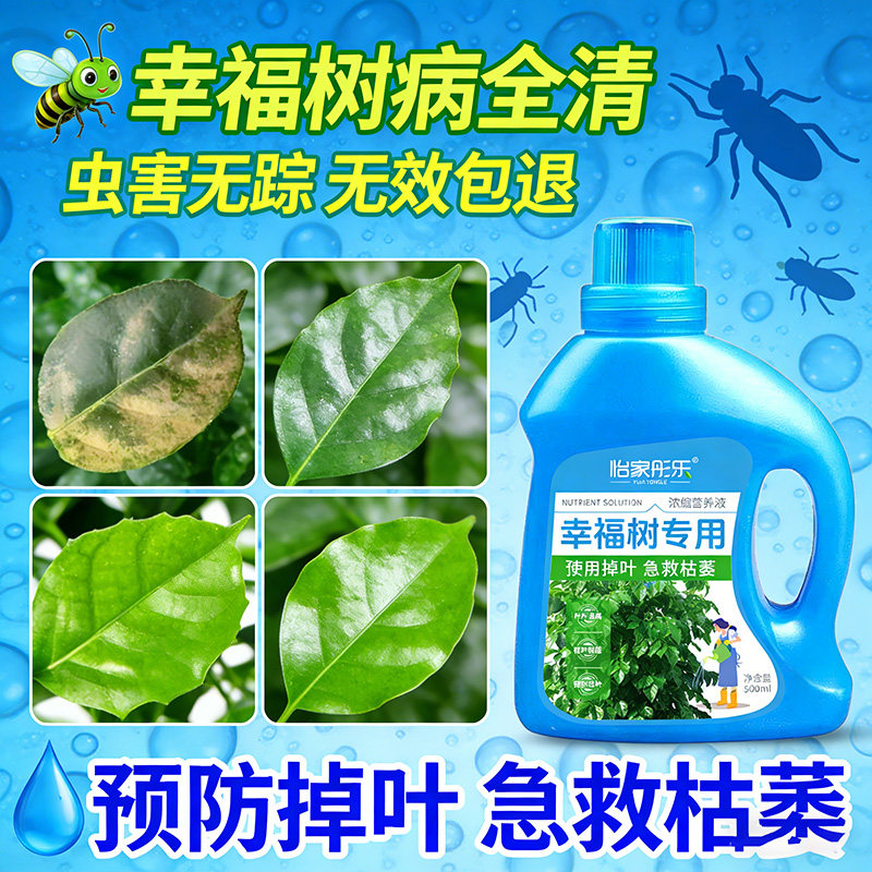 幸福树专用营养液专用肥料落叶掉叶子专用肥料专黄叶烂根营养液,淘宝优惠券,粉丝福利购,淘宝优惠卷