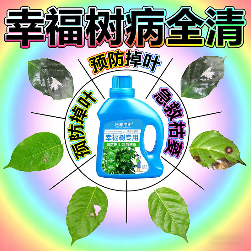 幸福树专用营养液专用肥料落叶掉叶子专用肥料专黄叶烂根营养液,淘宝优惠券,粉丝福利购,淘宝优惠卷