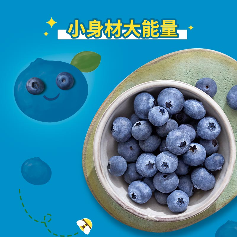 【新品上新】怡颗莓云南新鲜水果蓝莓当季小蓝莓小果125g/盒起 - 图0