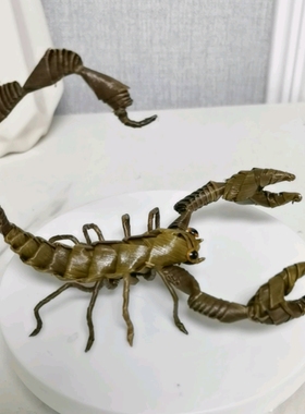 草编工艺品棕编蝎子工艺非遗手工特色创意蜘蛛家居桌面摆件礼品