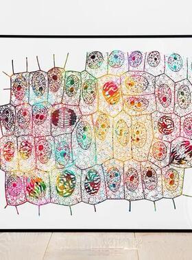 DNA双螺旋生物医学装饰画 细胞染色体有丝分裂遗传学科学科普挂画