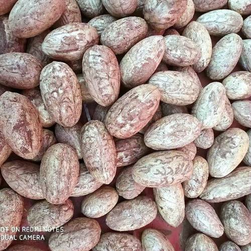 千眼菩提子原籽千眼菩提绿果白果大胖果文玩手把件按斤精挑新老果 - 图2