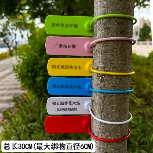一次性煤矿银行树木标识号苗锁塑料封条医疗绑扎带封签标签牌挂牌 - 图2