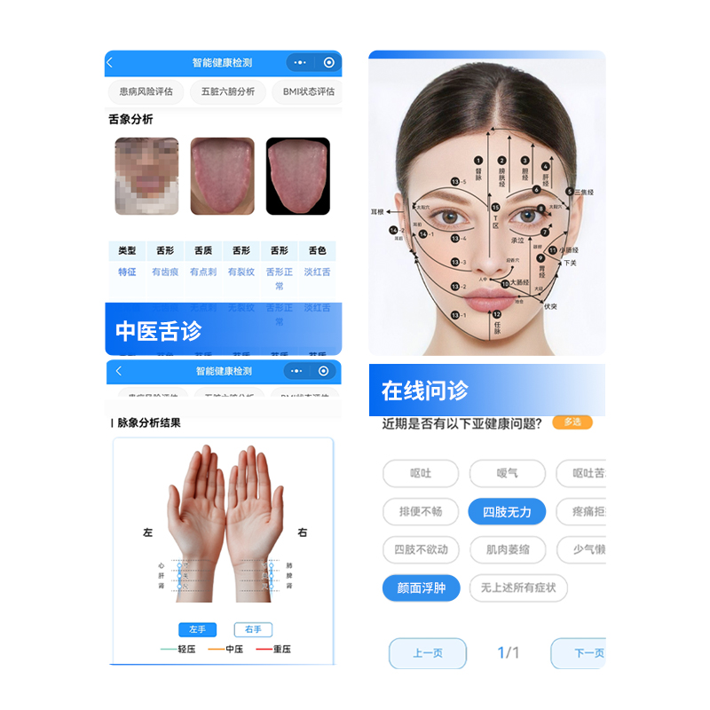 Intelligent traditional Chinese medicine physical examination instrument AI old traditional Chinese medicine detector