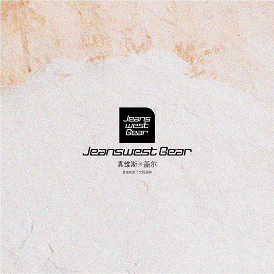 真维斯盖尔大码重磅无性别国潮t恤 JEANSWESTGEART恤