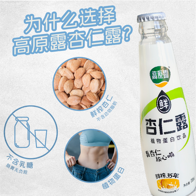 内蒙古高原露鲜榨杏仁露235ml*5瓶x2箱植物蛋白饮料植物奶 - 图0