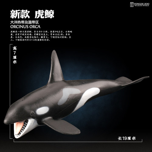 童德海洋动物模型玩具仿真生物摆件儿童益智鲨鱼鲸鱼海豚企鹅海龟 - 图2