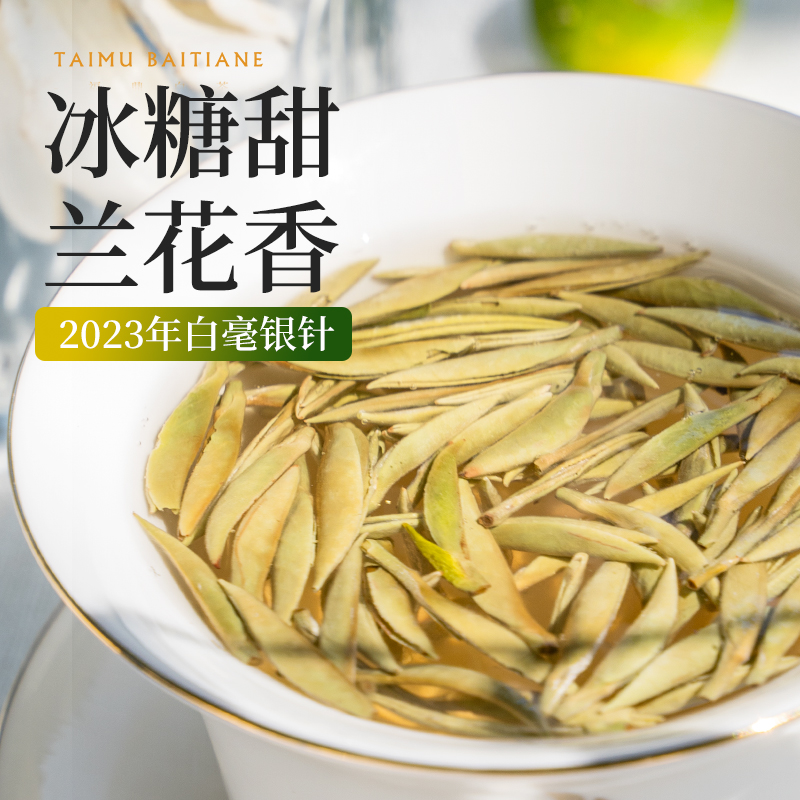 【新品】春茶太姥白天鹅茶业2023年头采白毫银针50g花香福鼎白茶 - 图2