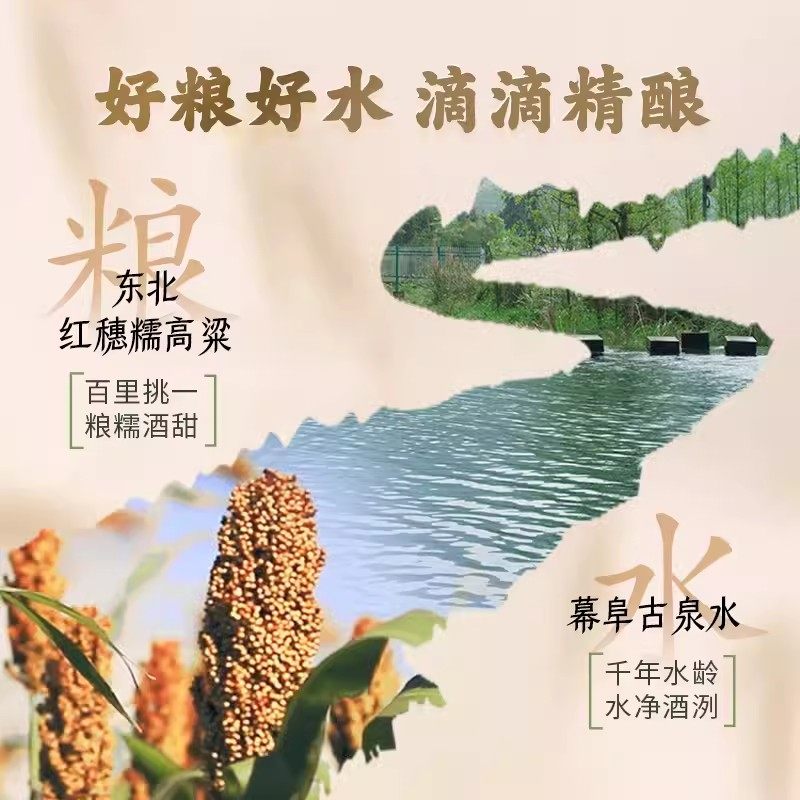 【正品官方】毛铺喜荞酒劲牌金荞苦荞酒50度500ml*6瓶整箱装礼盒,淘宝优惠券,粉丝福利购,淘宝优惠卷