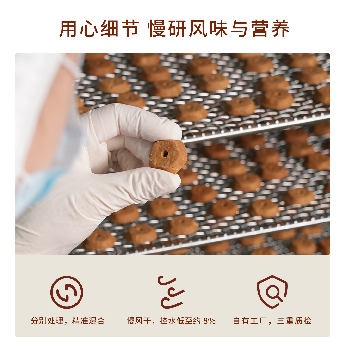 太阳家椰椰烘焙饼干香蕉菠萝果味补充能量零麸质低负担狗奖励零食,淘宝优惠券,粉丝福利购,淘宝优惠卷