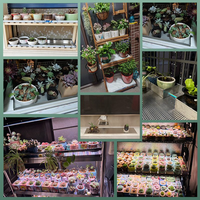 不锈钢托盘长方形加厚阳台室内特大盆长条花盘花盆底座接水盘定制,淘宝优惠券,粉丝福利购,淘宝优惠卷